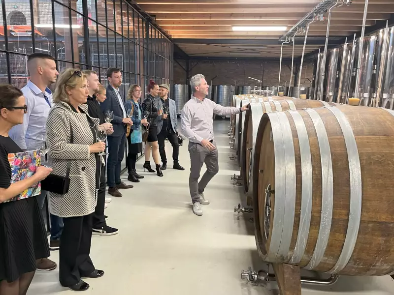 Degustace vína